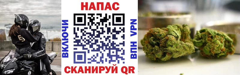 Купить закладку Alpha PVP  Каннабис  Меф  Гашиш  Лесной