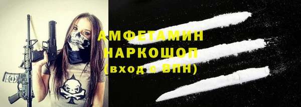 гашик Верея