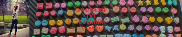 гашик Верея