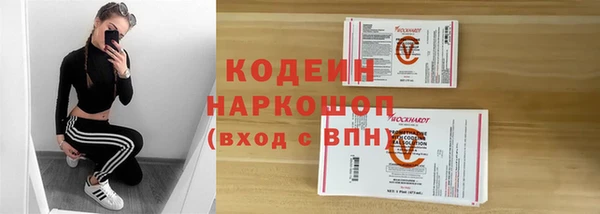 гашик Верея