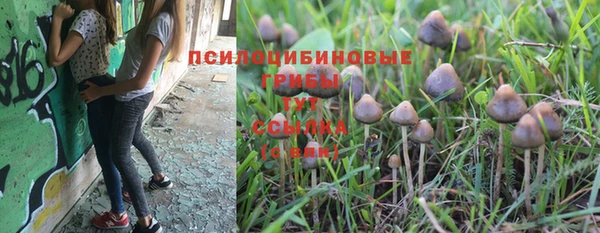 гашик Верея