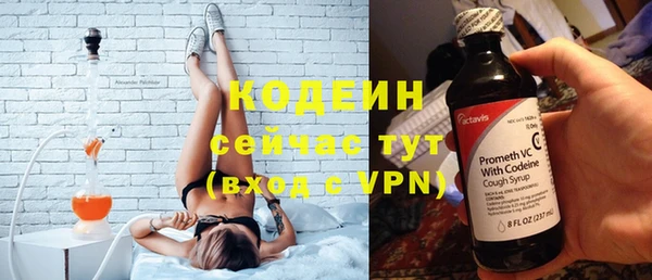 шишки Верхний Тагил