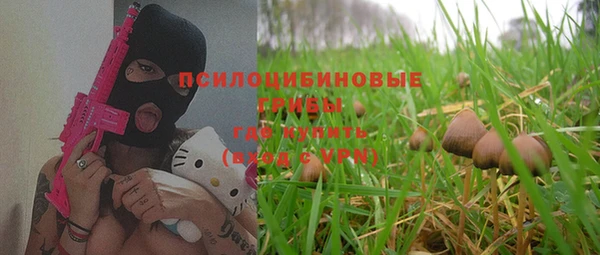 гашик Верея